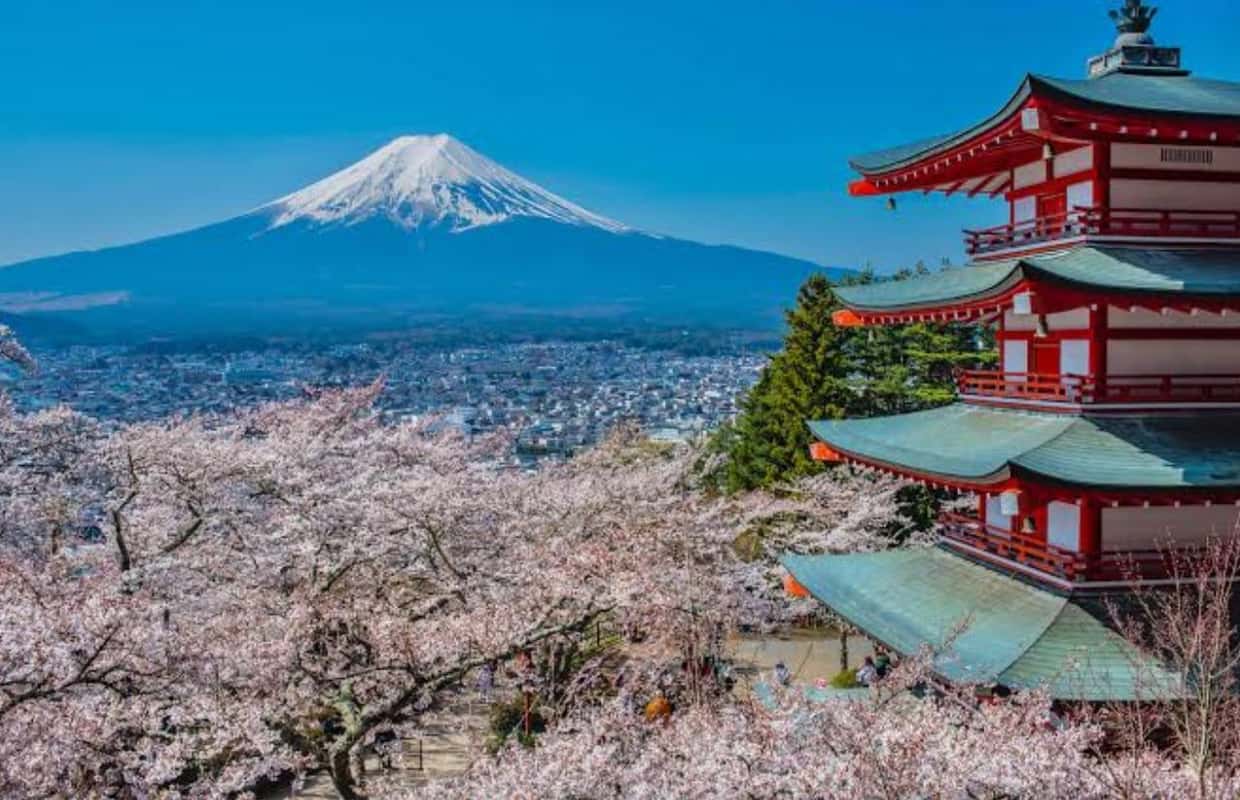 From Tokyo: Mount Fuji Private Tour with Guide &amp; Pickup - 2026 (Verified Reviews)