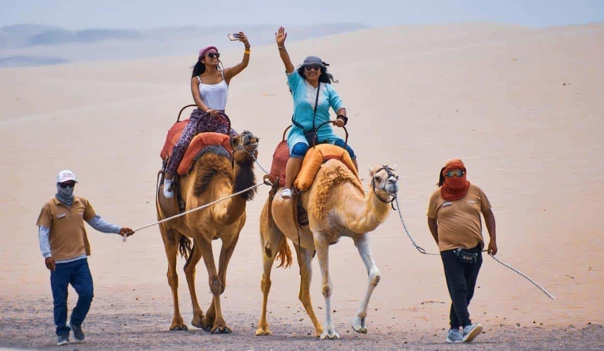 Paracas & Ica: 2-Day Tour with Huacachina and Camel Ride - 2026 ...