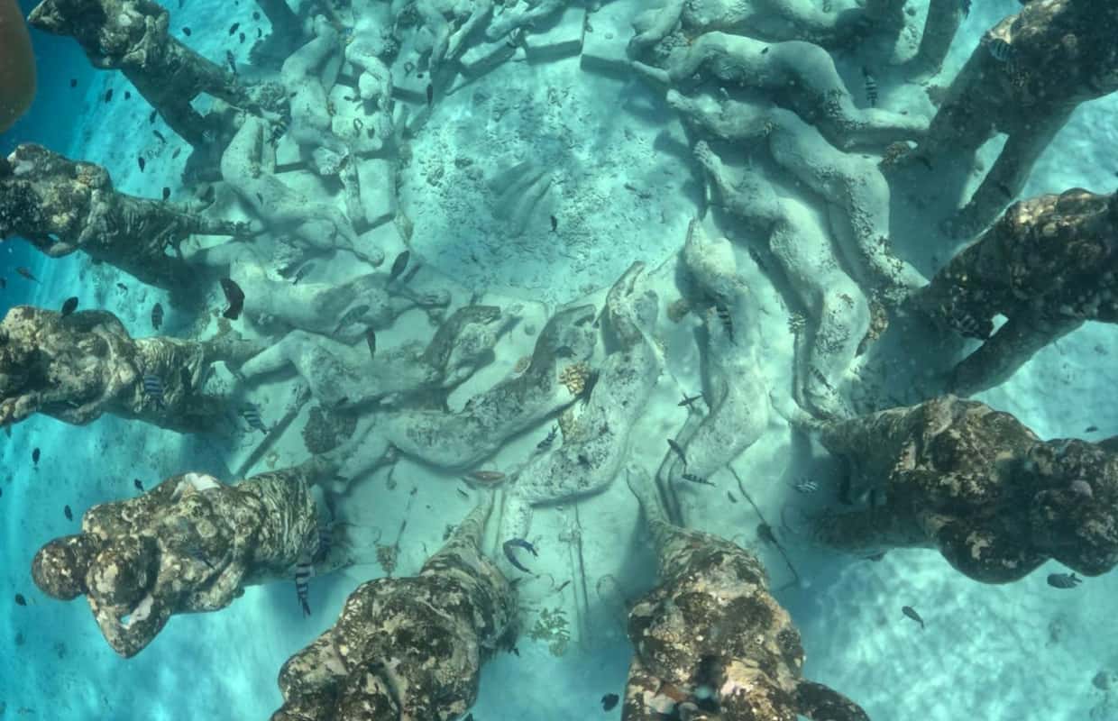 Snorkeling in Gili paradise - 2026 (Verified Reviews)