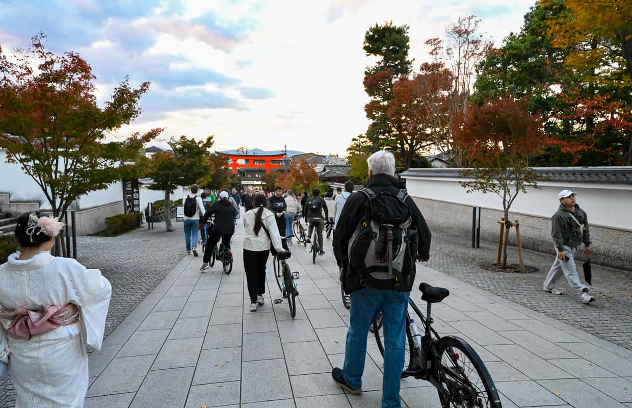 Toji Tample Kyoto: Half-day Guided Bike Tour with Fushimi Inari - 2026 (Verified ...
