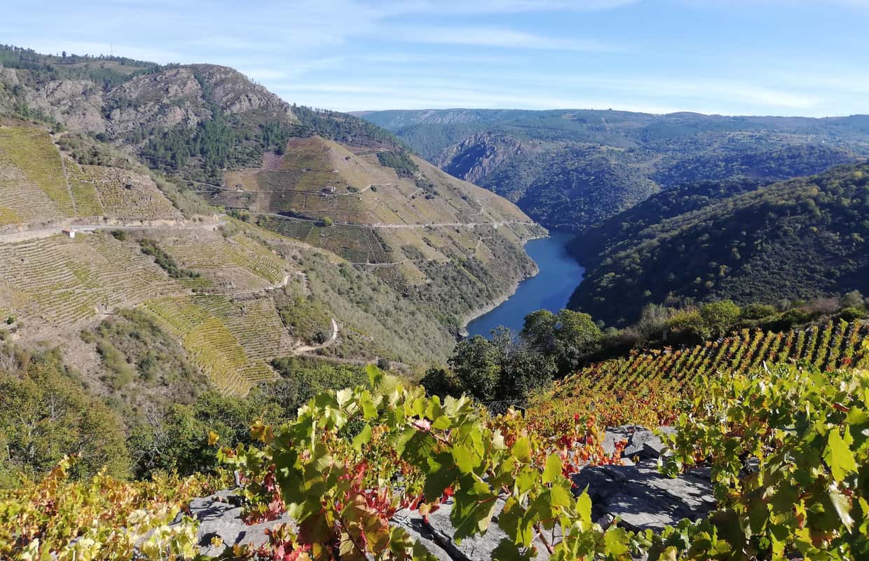 218211 From Santiago: Ribeira Sacra Cruise, Monasteries and Ourense - 2026 ...