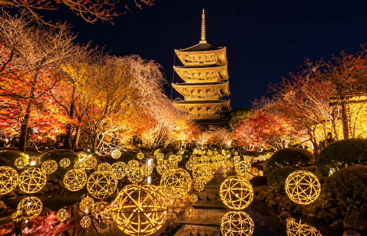 Toji Tample 京都:東寺(期間限定のライトアップ入場付き) - 2026件(実際の体験者からのレビュー)