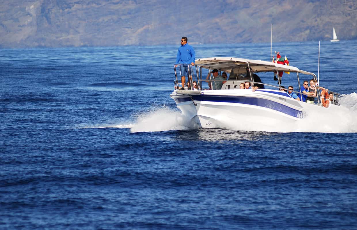 Guide 593 Los Gigantes: Whale or Dolphin Watching Sightseeing Tour and Swim in ...