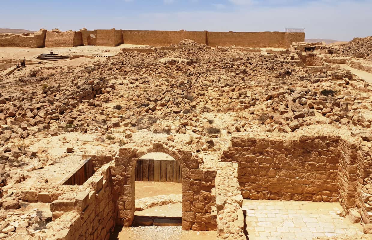 From Tel Aviv: Negev Desert Private Tour - 2026 (Verified Reviews)