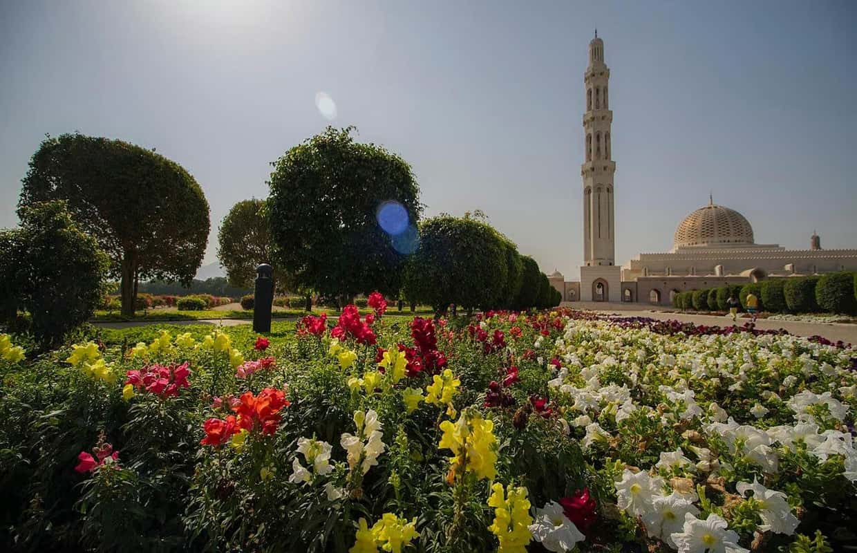 Muscat: Full-Day Guided Tour - 2026 (Verified Reviews)