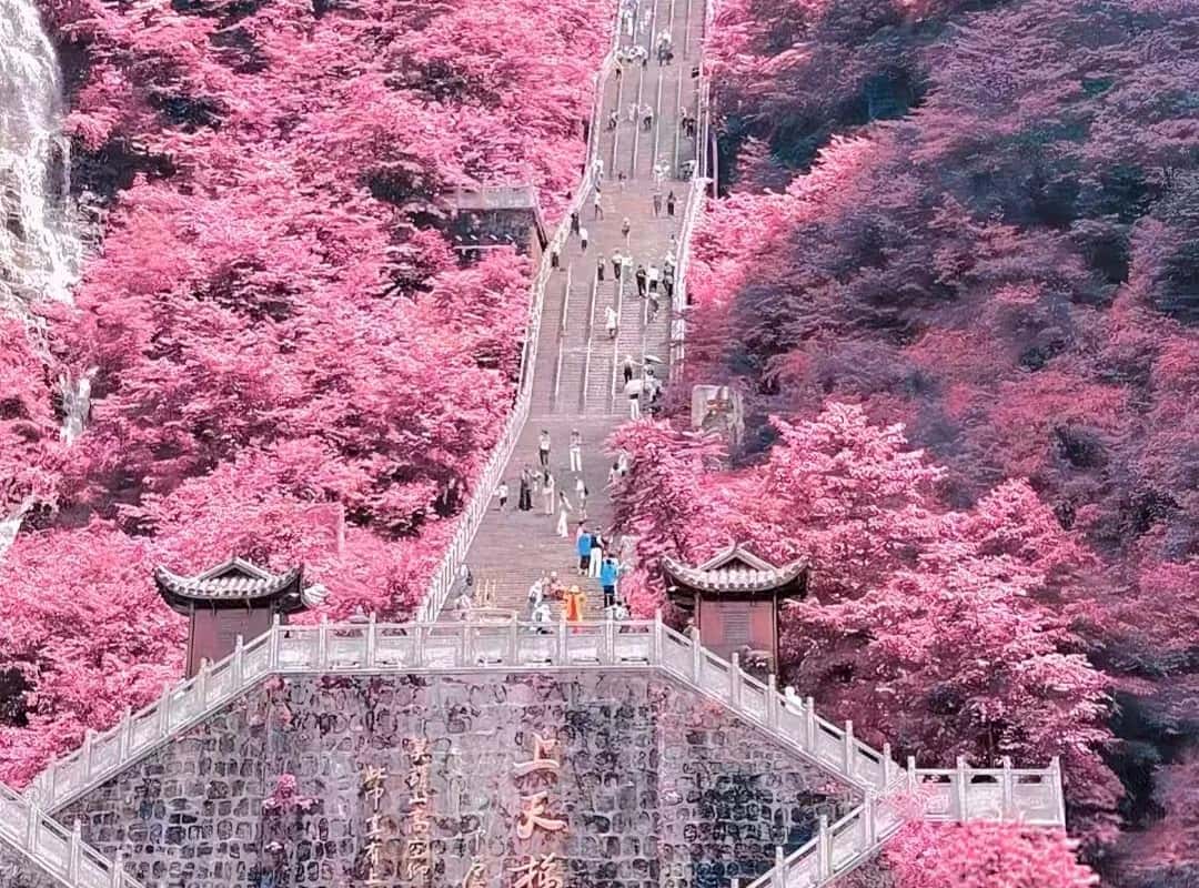 Zhangjiajie: Mt Tianmen National Park & Glass Bridge Day Trip - 2026 ...