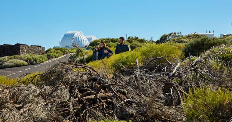 Observatory dome on Teide slope