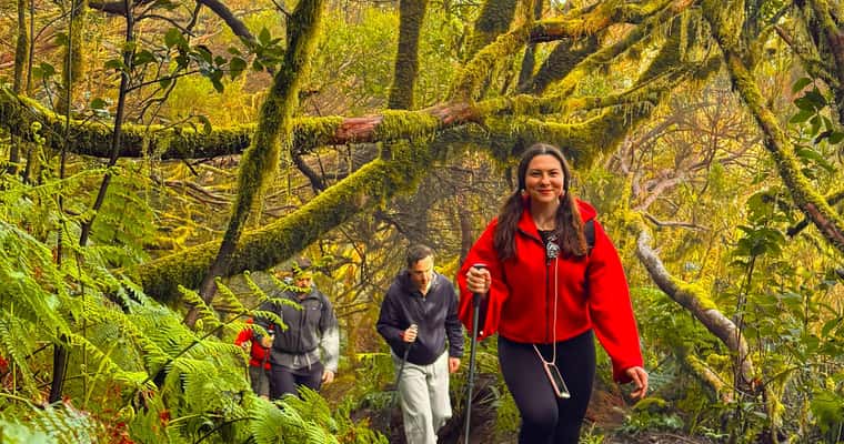Woman in red jacket hiking in Anaga forest
