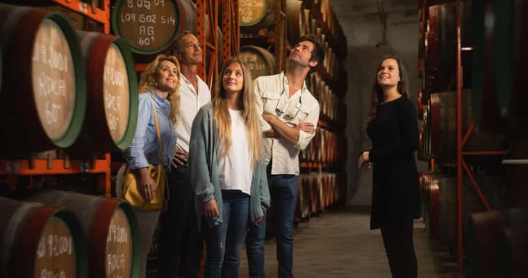 Group tasting among wine barrels
