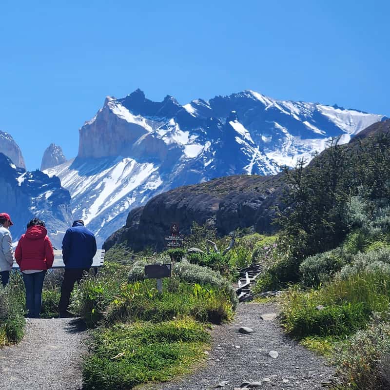 grey glacier hike