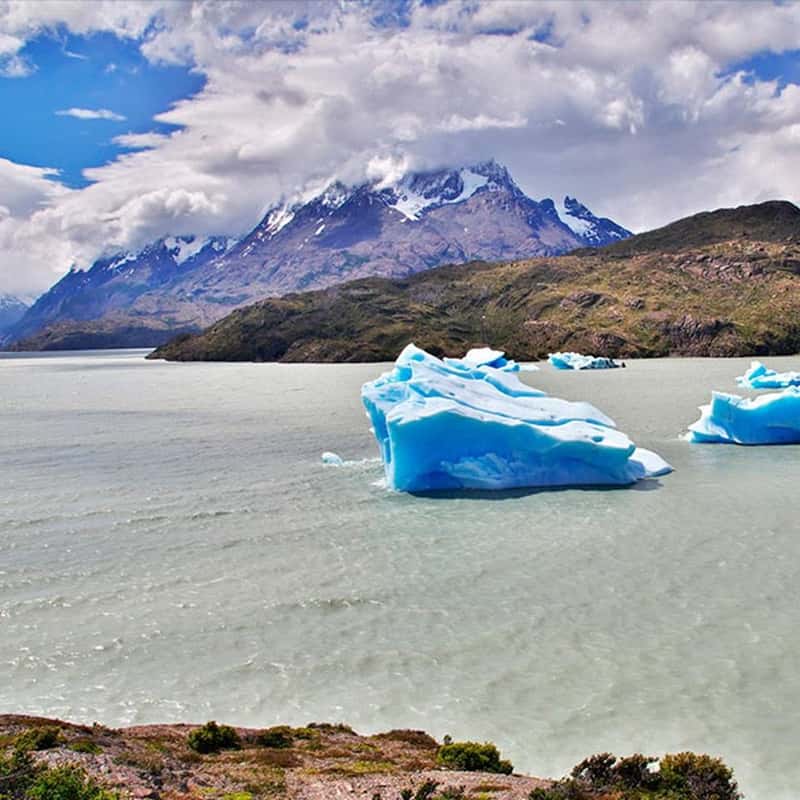 grey glacier tours