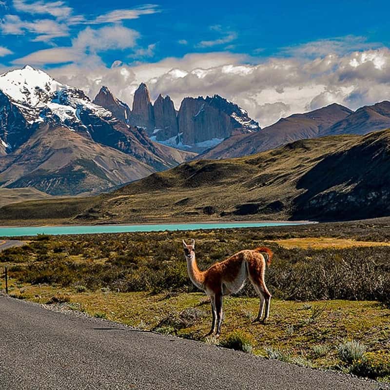 grey glacier tours from puerto natales