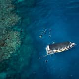 Half-day reef snorkel — Cairns