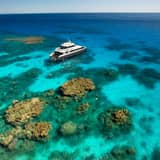 Premium half-day outer reef — Cairns