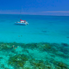 Upolu small-group snorkel — Cairns