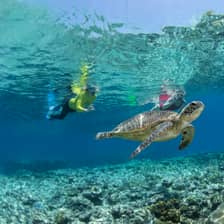 Silverswift 3-site cruise — Cairns