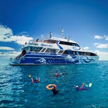 Premium snorkel & dive day — Cairns