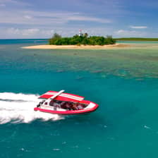 Low Isles reef snorkel — Port Douglas