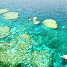 Bait Reef + Whitehaven — Airlie Beach