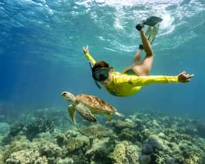 Cape Tribulation Ocean Safari — Cape Tribulation