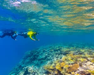Magnetic Island reef + MOUA — Magnetic Island