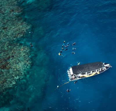 Half-day reef snorkel — Cairns