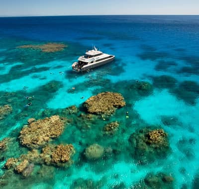 Premium half-day outer reef — Cairns