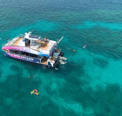 All-inclusive half-day — Cairns