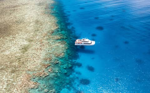 Poseidon (Agincourt) — Port Douglas