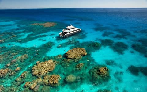 Premium half-day outer reef — Cairns