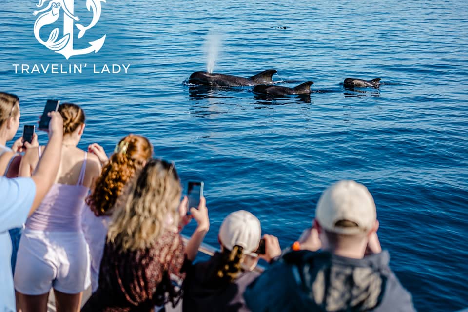 Travelin’ Lady: catamaran safari with a swim