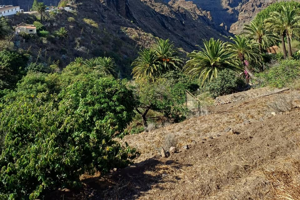 Pueblo de Masca entre montañas, Tenerife