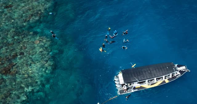 Half-day reef snorkel — Cairns