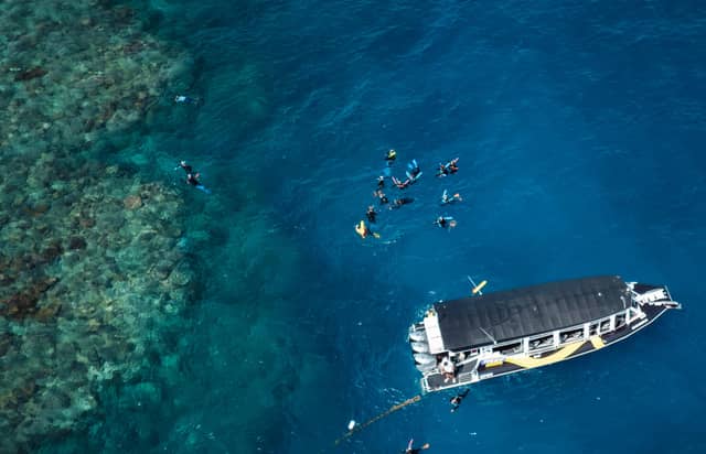 Half-day reef snorkel — Cairns