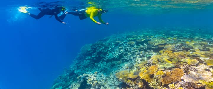 Magnetic Island reef + MOUA — Magnetic Island