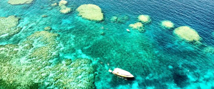 Bait Reef + Whitehaven — Airlie Beach