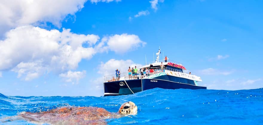 Reef & Indigenous culture day — Cairns