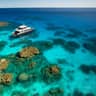 Premium half-day outer reef — Cairns