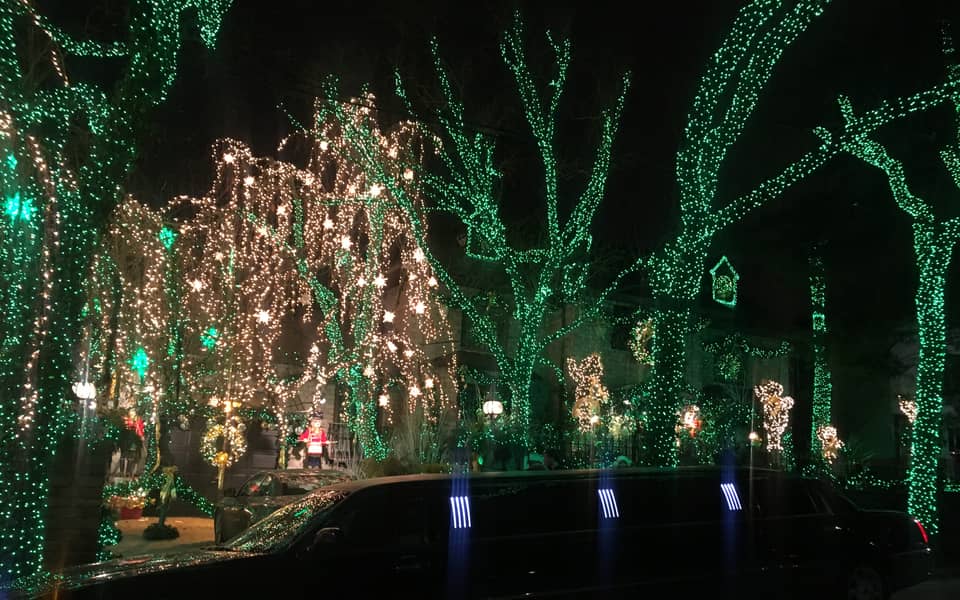 Trees wrapped in green and white lights seen from the car