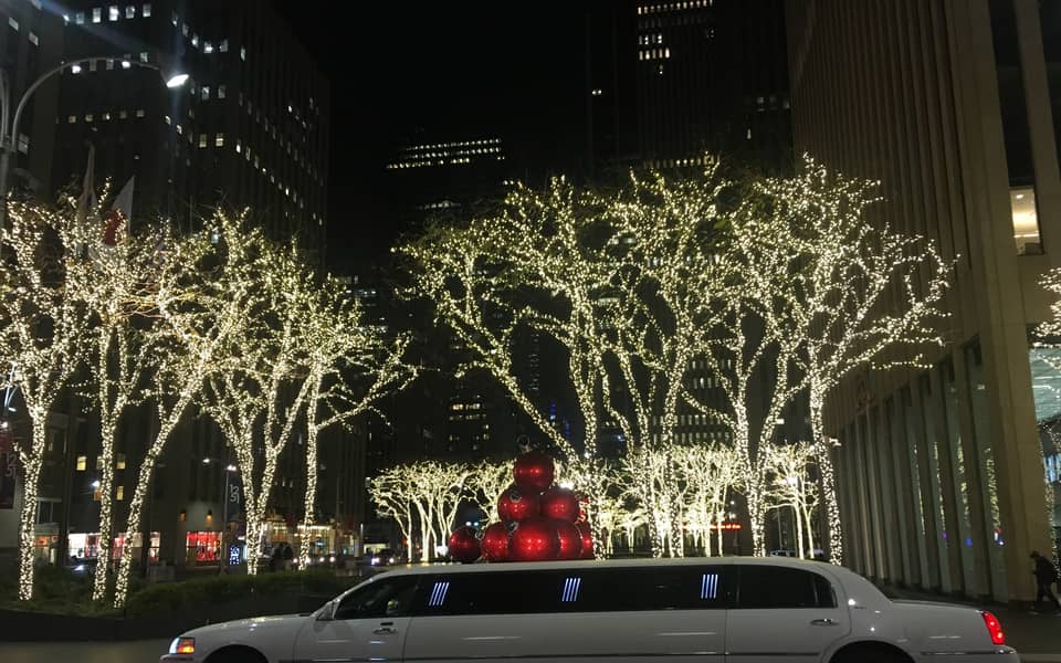 Limousine parked beside trees lit in warm white