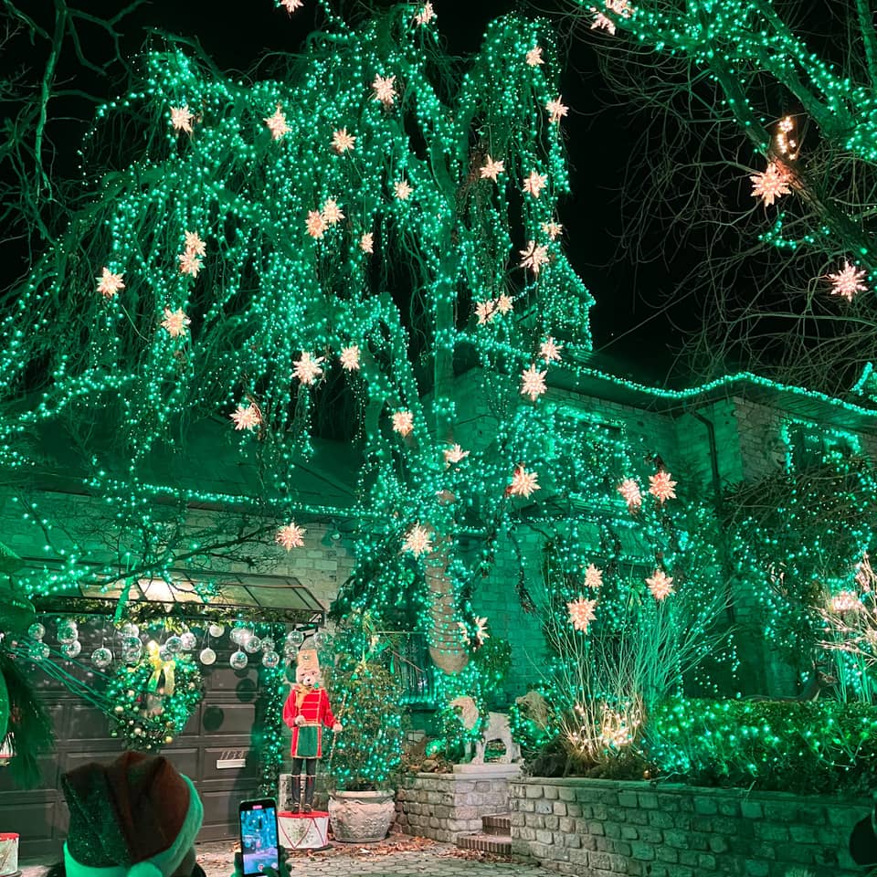 Weeping trees covered in green star lights