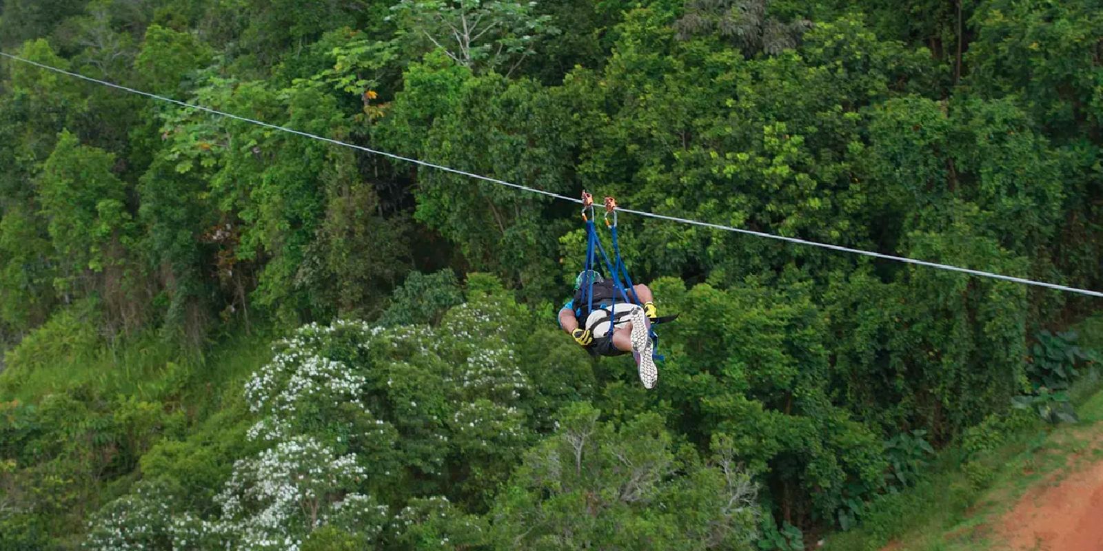 Toro Verde · Orocovis zipline view 4