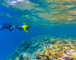 Magnetic Island reef + MOUA — Magnetic Island
