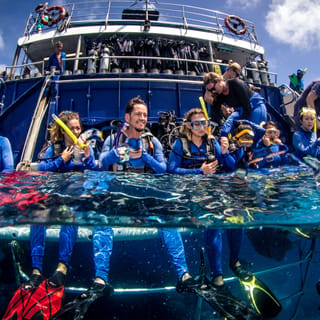 All-inclusive reef + free dive — Cairns