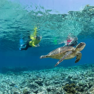 Silverswift 3-site cruise — Cairns