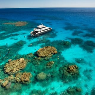 Premium half-day outer reef — Cairns