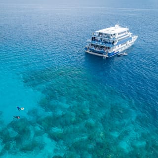 Overnight snorkel boat — Cairns