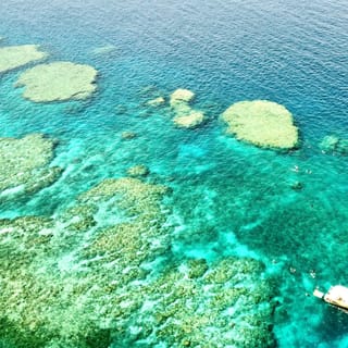 Bait Reef + Whitehaven — Airlie Beach