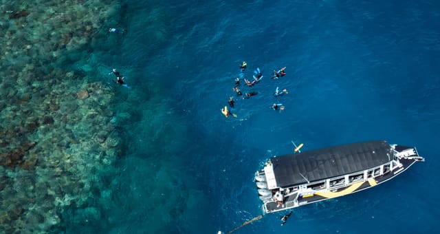 Half-day reef snorkel — Cairns