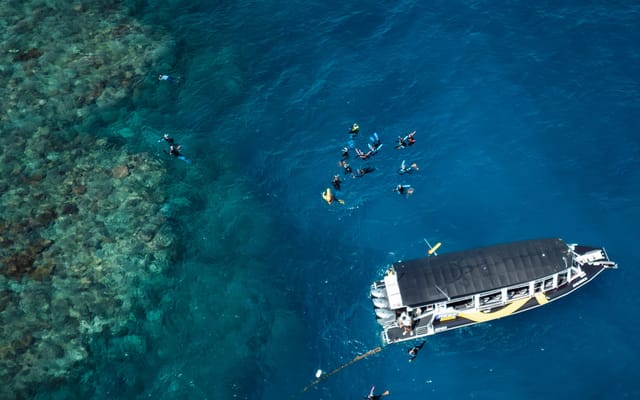 Half-day reef snorkel — Cairns